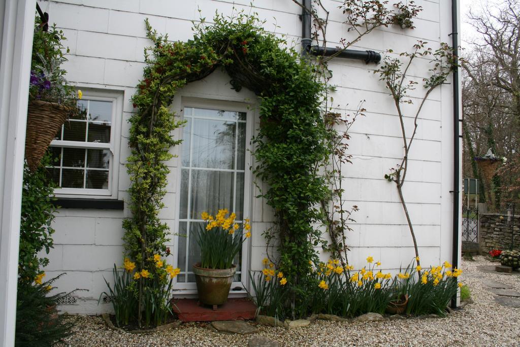 Clayhill House Bed & Breakfast ลินด์เฮิร์สต์ ภายนอก รูปภาพ